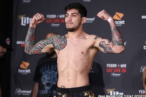 dillon danis ufc